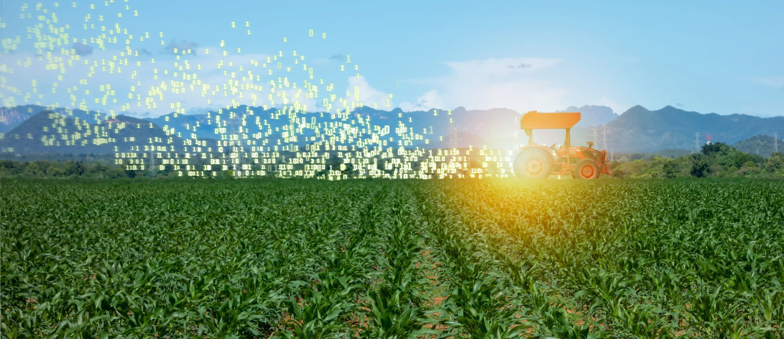 AgTech: The Shortcomings of Big Data