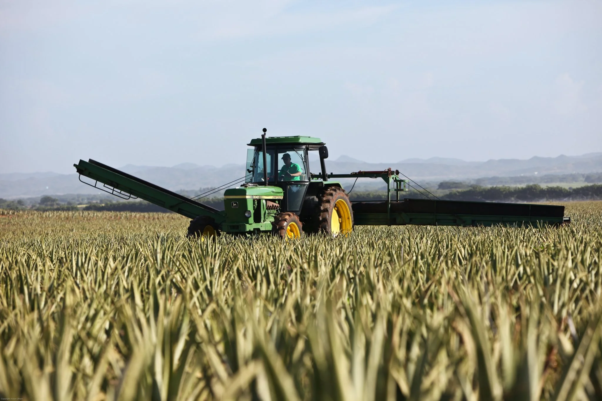 tractor in field