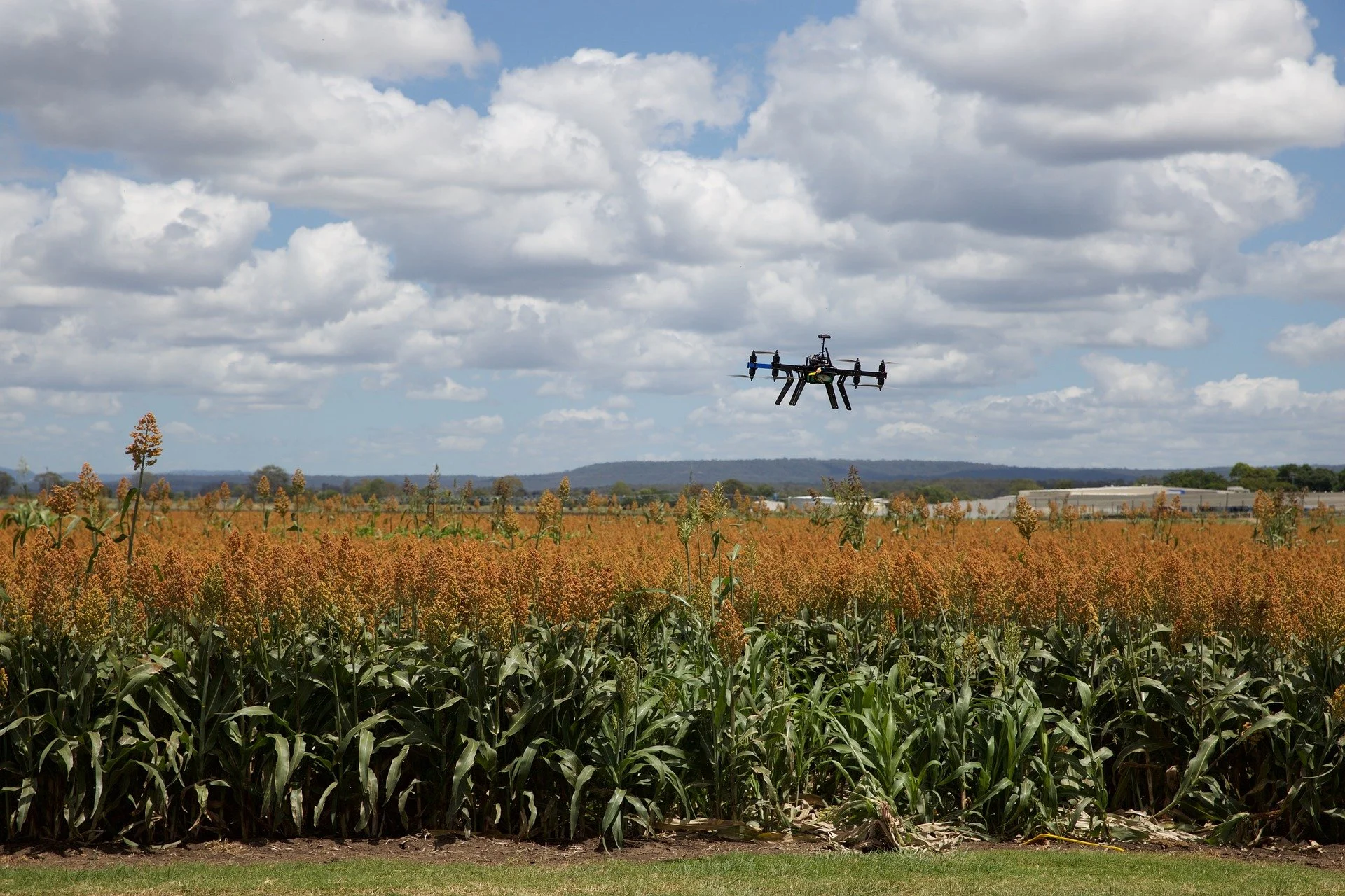 What We Can Learn from AgTech